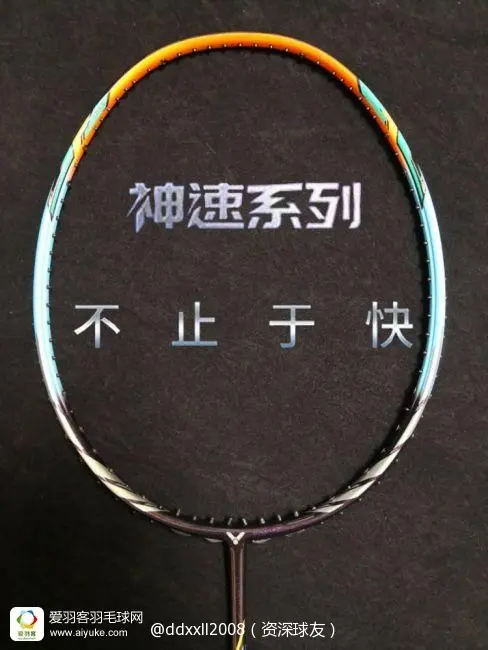 β miRNA-494 in Lymphocytes: A Promising Biomarker for Acute